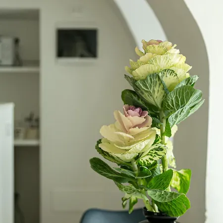 Casa Di Beppe Citta Alta Apartment
